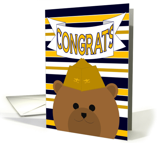 Congratulate Naval Aviation Officer on Any Military... (1023723)