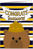 Granddaughter, Congrats on Earning Your Wings of Gold! - Naval Aviator card