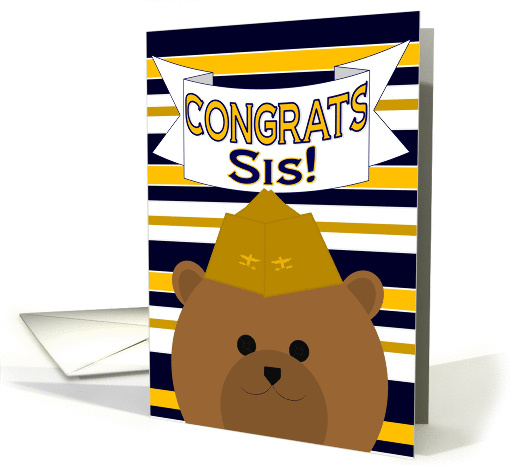 Sis, Congrats on Earning Your Wings of Gold! - Naval Aviator card