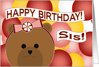 Fun Loving Sister - Celebrate Fun Times Together - Happy Birthday card