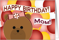 Fun Loving Mom - Celebrate Fun Times Together - Happy Birthday card