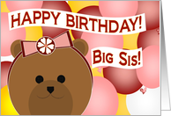 My Fun Loving Big Sister - Celebrate Fun Together - Happy Birthday card