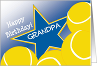 Wish Your Grandpa & #1 Volleyball Fan a Happy Birthday/Thank You card