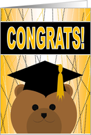 High School Graduation Celebration with Cap & Gown Bear card