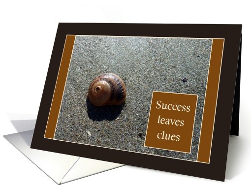 Success Leaves Clues Seashell - Congratulations on Promotion card