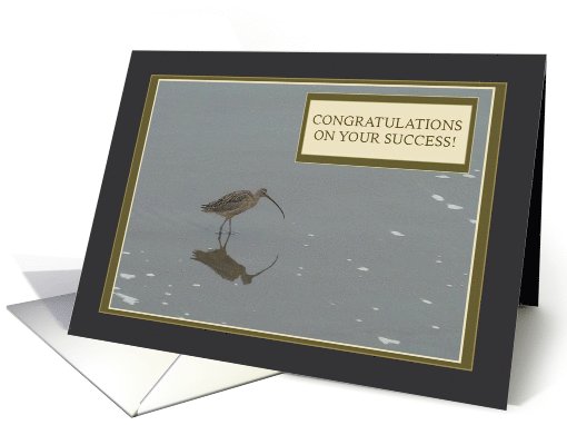 Congratulations On Your Success! - Sandpiper bird on Beach card