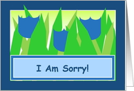 I Am Sorry! - Blue Tulips card