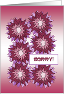 I Am Sorry! - Crazy Chrysanthemums card