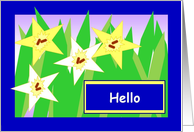 Cheery Hello! - Starry Daffodils card