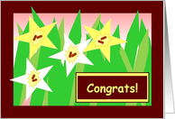 Congrats! - Starry Daffodils card