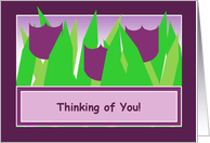 Thinking of You! - Purple Tulips card