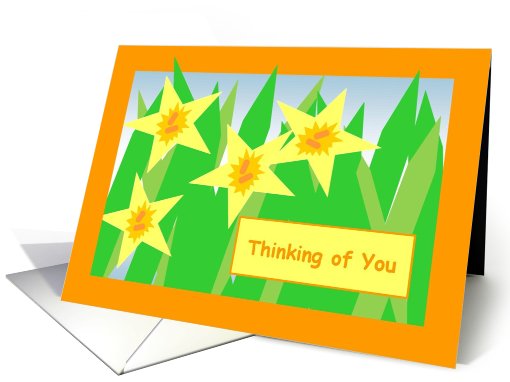 Thinking of You! - Yellow and Orange Star Daffodils Across... (800649)