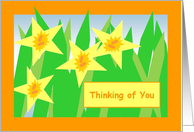 Thinking of You! - Yellow and Orange Star Daffodils Across the Miles card