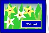 Welcome to the Neighborhood! - Yellow & White Star Daffodils card