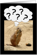 ????? Prairie Dog...