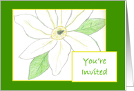 White Clematis Invitation card