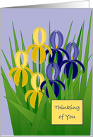 Blue and Gold Iris Thinking of You card