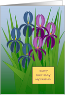 Happy Birthday Friend, Blue and Purple Iris card