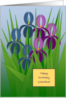 Blue and Purple Iris Happy Birthday Grandma card