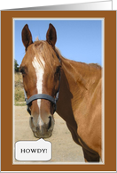 Howdy Horse Card