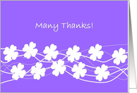 Many Thanks Purple Card With White Flowers - Blank card