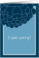 I Am Sorry! Upside...