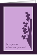 Love Grows Wherever...