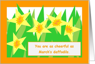 March Daffodils...