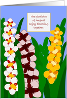 Friend August Gladiolus Birthday Card