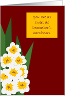 Friend December Narcissus Birthday Card