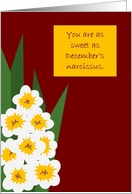 December Narcissus Birthday Card