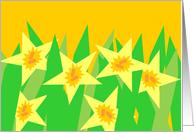 Thank You! Daffodils Graphic Design card