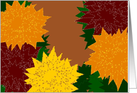 Thank You! Chrysanthemums Graphic Design card