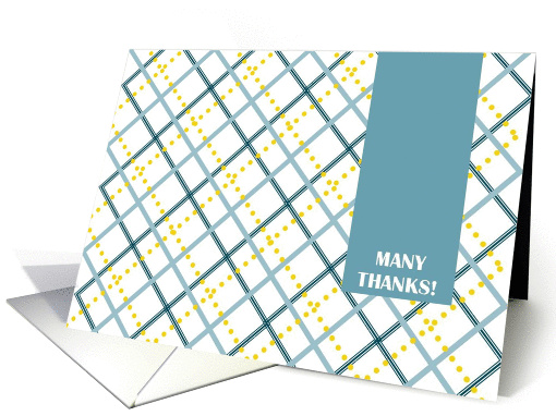 MANY THANKS! For the Baby Gift- Teal and Gold Plaid Greetings card