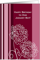 Happy Birthday to Our January Boy! Carnation from All of Us card