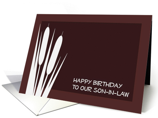 Complimentary Happy Birthday to Our Son-In-Law card (908327)