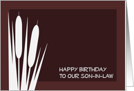 Complimentary Happy Birthday to Our Son-In-Law card
