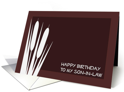 Complimentary Happy Birthday to My Son-In-Law card (908330)