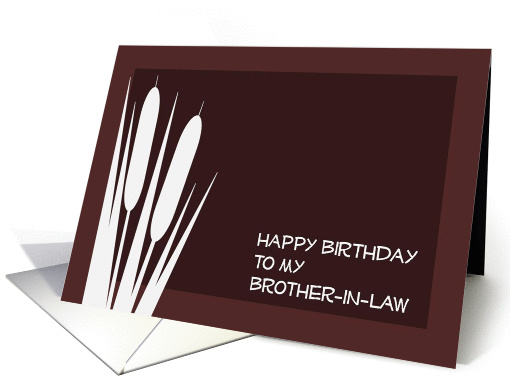 Complimentary Happy Birthday to My Brother-In-Law card (908333)