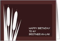 Complimentary Happy Birthday to My Brother-In-Law card