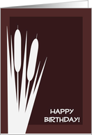 Complimentary Happy Birthday for Him card
