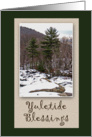 Yuletide Blessings-Happy Winter Solstice-Evergreen Tree card