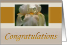 Congratulations Wedding White Iris from us to both of you card