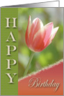 Happy Birthday Tulip Joy card