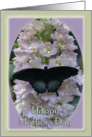 Mother’s Day Card for Godmother - Irish Butterfly Blessing card