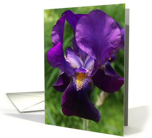 Happy 60th Birthday- with age comes beauty card (802661)