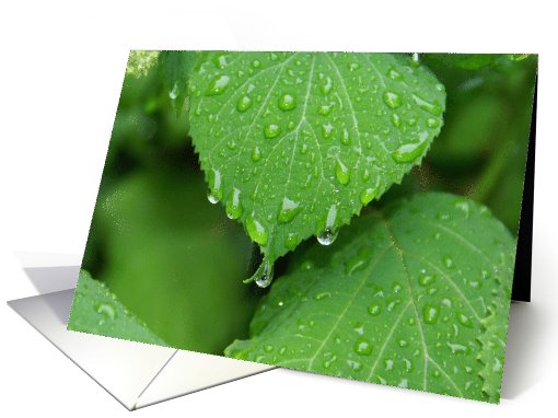 Thank you Support & Kindness during these Difficult Times card
