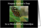 Happy Father’s Day - Wonderful Grandpa card