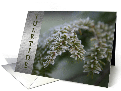 Yuletide Greetings to family-Happy Winter Solstice-Evergreen card