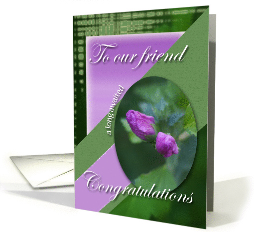 Congratulations to Our Friend Twins from Us- Difficult Pregnancy card
